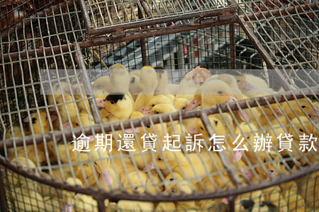 逾期還貸起訴怎么辦 貸款逾期起訴后怎么判