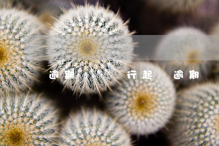 逾期還貸銀行起訴(逾期貸款起訴)