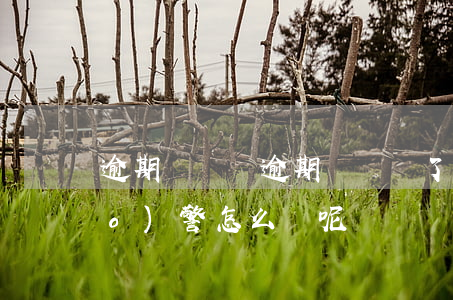 逾期還車貸(逾期還車貸了,車子一直報(bào)警怎么辦呢)