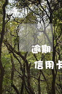 逾期還還能辦信用卡嗎(信用逾期的還可以辦信用卡嗎?)