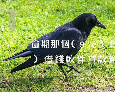 逾期那個(gè)軟件可以貸款(哪個(gè)借錢軟件貸款逾期也可以借的)