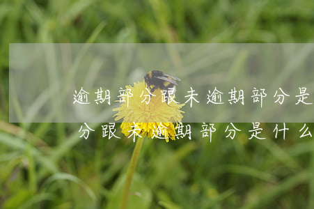 逾期部分跟未逾期部分是什么意思-逾期部分跟未逾期部分是什么意思區(qū)別