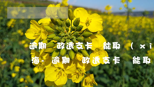 逾期郵政透支卡還能取現(xiàn)嗎上海-逾期郵政透支卡還能取現(xiàn)嗎上海銀行