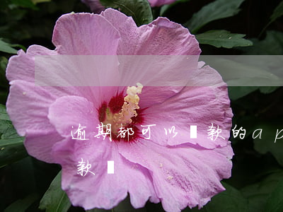 逾期都可以貸款的app(近期有逾期可以貸款嗎)