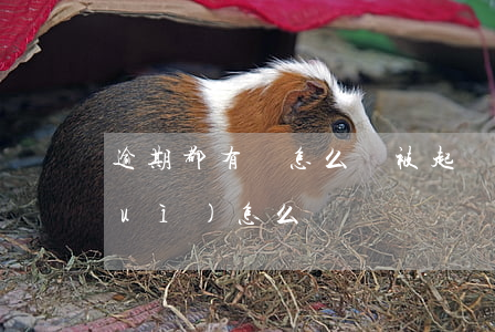 逾期都有還怎么還被起訴 逾期起訴了會(huì)怎么樣