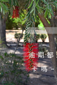 逾期都還完一年可以申請(qǐng)信用卡嗎-逾期都還完一年可以申請(qǐng)信用卡嗎
