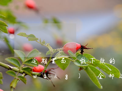 逾期里面還能下款的網(wǎng)貸(網(wǎng)貸全部逾期哪里還可以下)