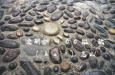 逾期金額100能貸款嗎(貸款逾期100天會(huì)怎么樣)