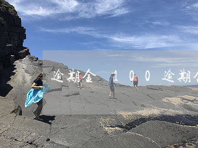 逾期金額100(逾期金額多少算大額逾期)
