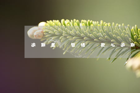逾期金額包括貸款么(逾期金額包括貸款么)