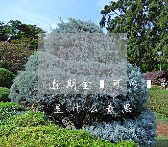 逾期金額可以減免嗎（逾期費(fèi)減免是什么意思）