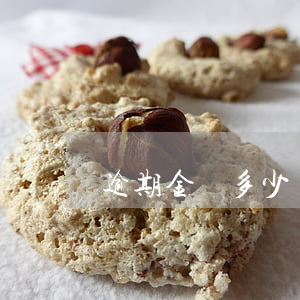 逾期金額多少會被起訴（逾期金額滿多少會被訴訟）