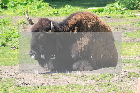 逾期金額大會(huì)影響貸款嗎(貸款逾期會(huì)怎么樣?)