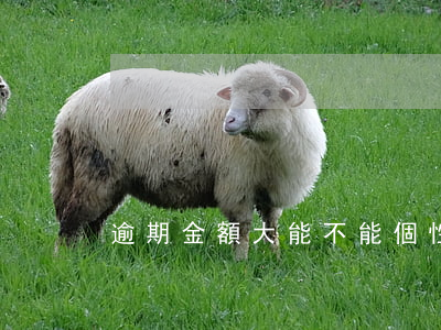 逾期金額大能不能個性化分期還款