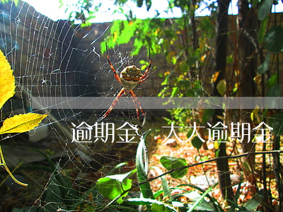 逾期金額太大(逾期金額較大是多少)