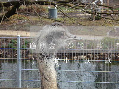 逾期金額少能貸款嗎(有三次逾期,數(shù)額很小,可以貸款嗎?)