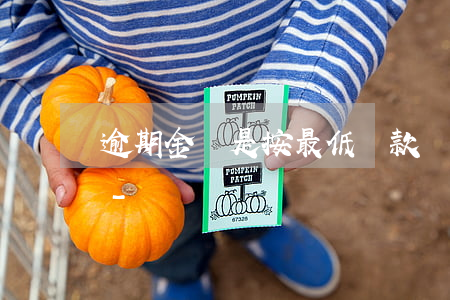 逾期金額是按最低還款額上報(bào)嗎-