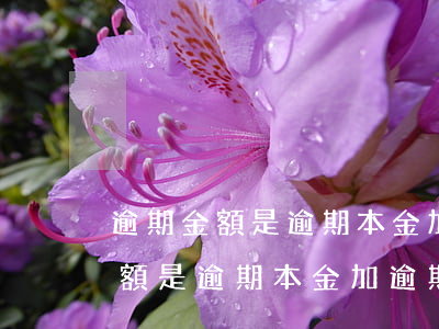 逾期金額是逾期本金加逾期利息么-逾期金額是逾期本金加逾期利息么嗎