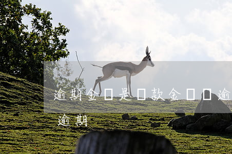 逾期金額是還款金額嗎(逾期金額多少算大額逾期)