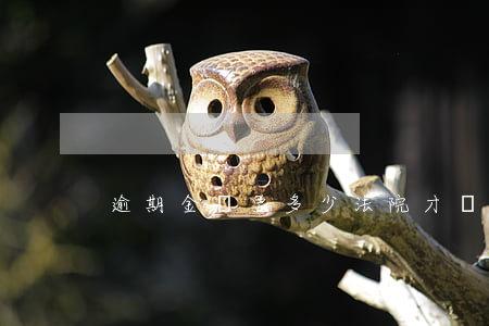 逾期金額要多少法院才會(huì)受理