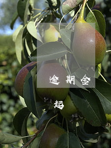 逾期金額較小會被起訴嗎(逾期金額多大會被起訴)