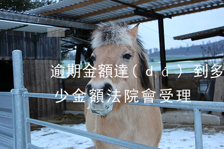 逾期金額達(dá)到多少可以起訴 逾期多少金額法院會受理