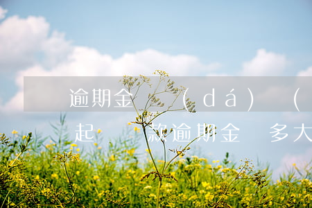 逾期金額達(dá)達(dá)到多少可以起訴 貸款逾期金額多大會(huì)被起訴