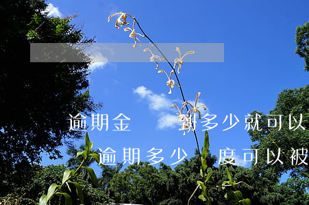 逾期金額達到多少就可以構(gòu)成起訴（逾期多少額度可以被起訴）