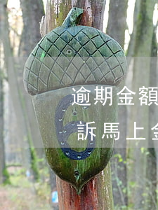 逾期金額達到多少就可以構(gòu)成起訴（馬上金額逾期會起訴嗎）