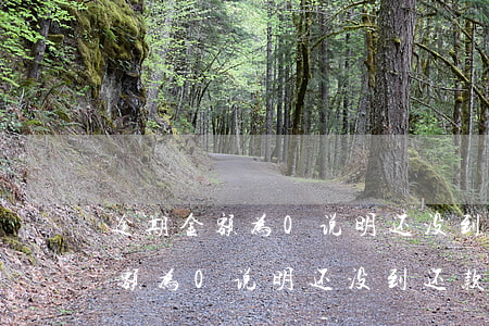 逾期金额为0说明还没到还款期吗-逾期金额为0说明还没到还款期吗怎么办