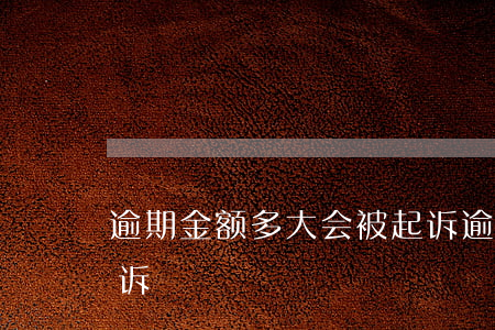 逾期金额多大会被起诉 逾期金额多少会被起诉