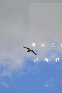 逾期金额小会不会被起诉(小鹅花钱逾期会被起诉吗)