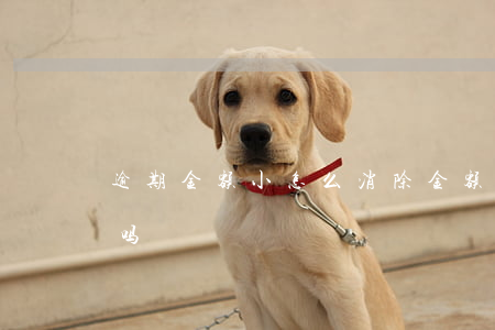逾期金额小怎么消除(金额小的逾期可以消除吗?)