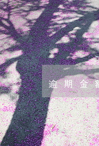 逾期金额每天涨5毛违法吗