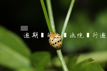 逾期銀行上報法院 銀行逾期被起訴怎么辦