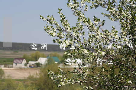 逾期銀行上門調(diào)查后還到處打電話-逾期銀行上門調(diào)查后還到處打電話嗎