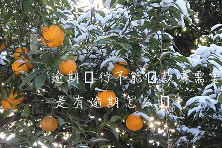 逾期銀行不能貸款嘛(需要在銀行申請貸款但是有逾期怎么辦)