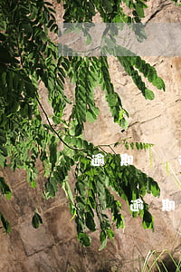 逾期銀行不起訴怎么辦(銀行為什么不輕易起訴逾期客戶)
