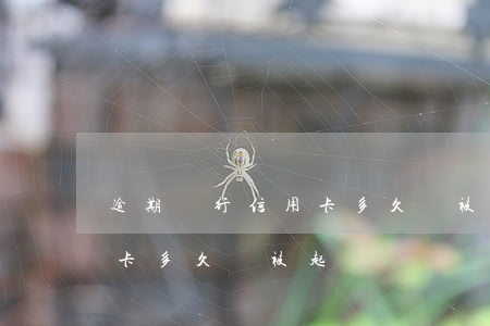 逾期銀行信用卡多久會被起訴(逾期銀行信用卡多久會被起訴)