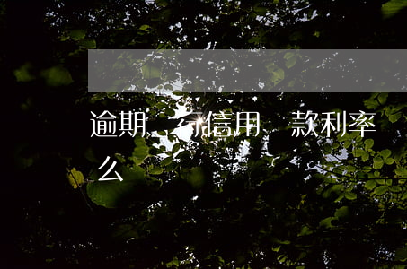 逾期銀行信用貸款利率(銀行信用貸逾期了怎么辦)