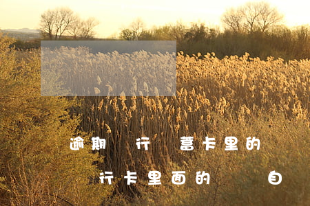 逾期銀行儲蓄卡里的錢會扣嗎上海-逾期了銀行卡里面的錢會自動扣除嗎有沒有時間規(guī)定