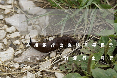 逾期銀行出證明，重要提示：逾期未還款將導(dǎo)致銀行出具證明，請及時處理