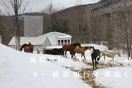 逾期銀行卡凍結(jié)所有卡還是部分卡-逾期銀行卡凍結(jié)所有卡還是部分卡怎么辦