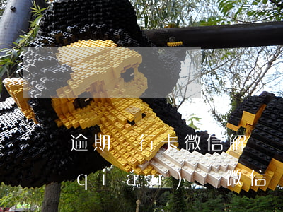 逾期銀行卡微信解綁還會(huì)扣錢(qián)嗎(微信銀行卡解綁之后有風(fēng)險(xiǎn)嗎)