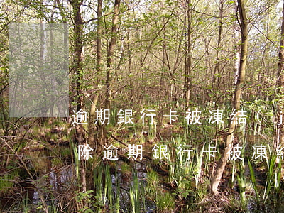 逾期銀行卡被凍結(jié)了怎么申請解除(逾期銀行卡被凍結(jié)了怎么申請解除流程)