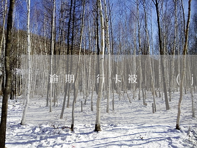 逾期銀行卡被凍結(jié)可以再辦卡嗎-