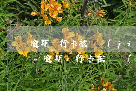 逾期銀行卡被凍結(jié)能辦銀行卡嗎-逾期銀行卡被凍結(jié)能辦銀行卡嗎安全嗎