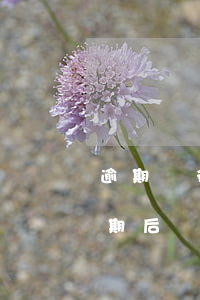 逾期銀行卡被法院凍結(jié)怎么辦(逾期后銀行卡被凍結(jié)怎么解除)