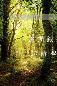 逾期銀行抓捕(銀行逾期多久會(huì)被起訴坐牢)