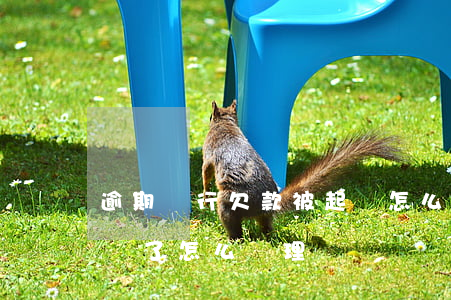 逾期銀行欠款被起訴怎么辦-銀行欠款被起訴了,怎么處理